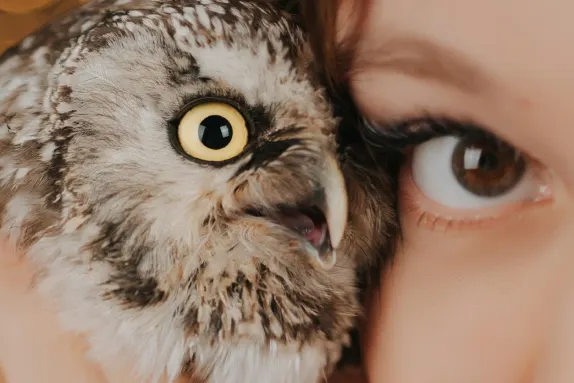 Paradise Casino Tugi